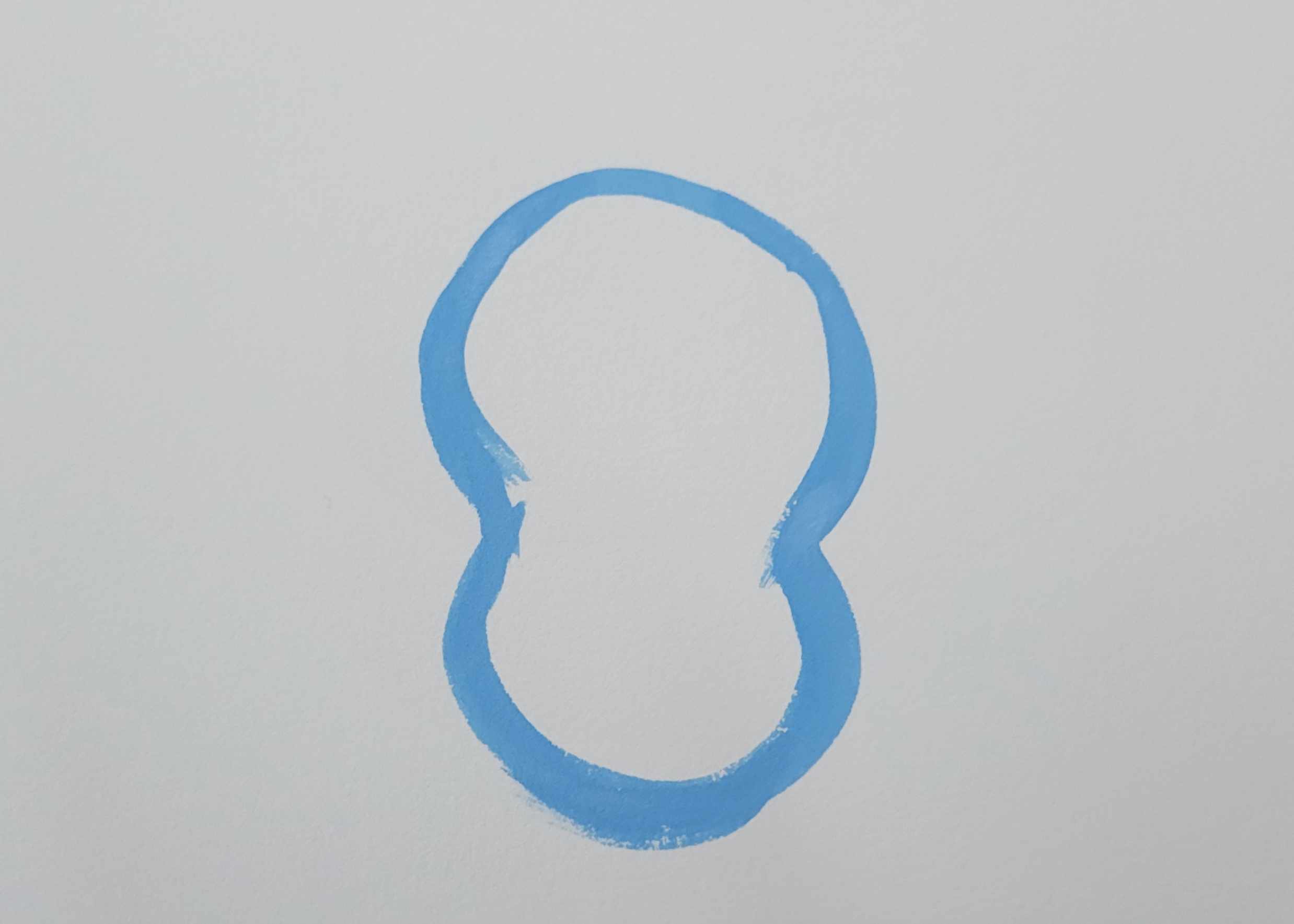 Outline of the head